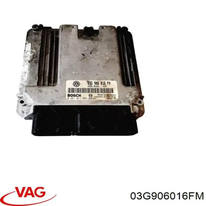 03G906016FM VAG Мозги двигателя