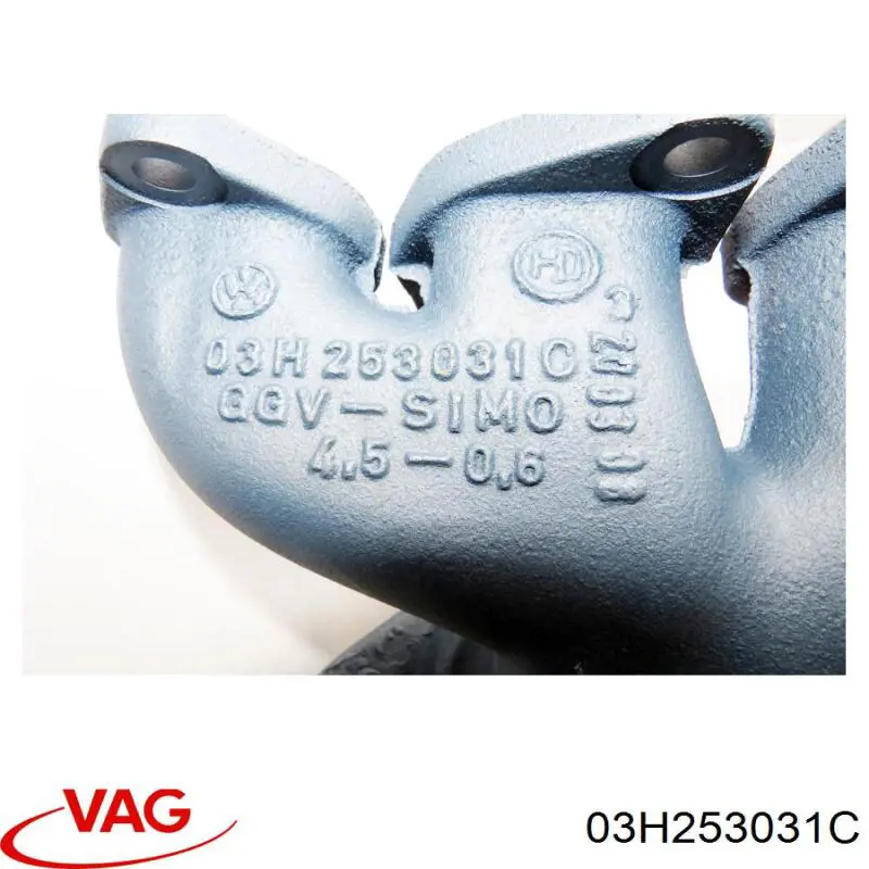 03H253031C VAG 