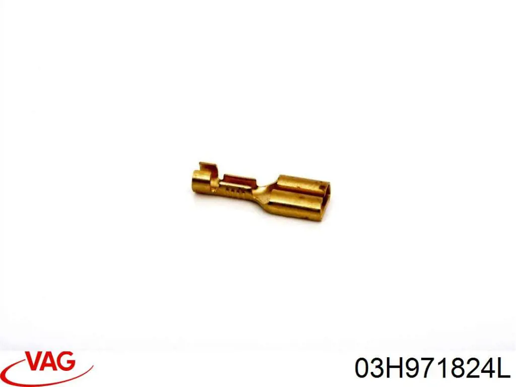  03H971824L VAG