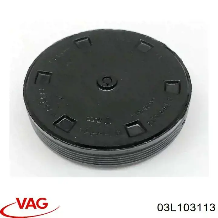 03L103113 VAG