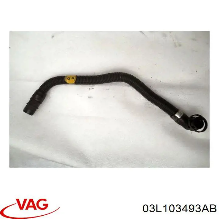  03L103493AB VAG