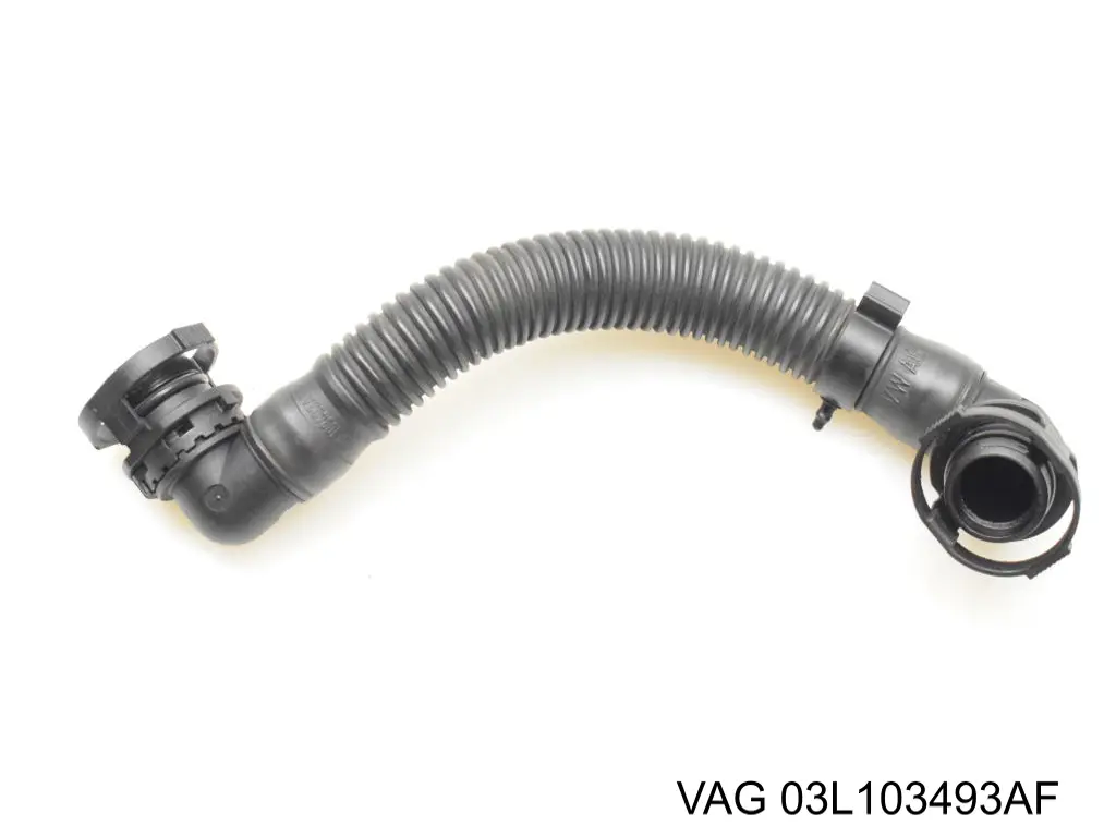  03L103493AF VAG