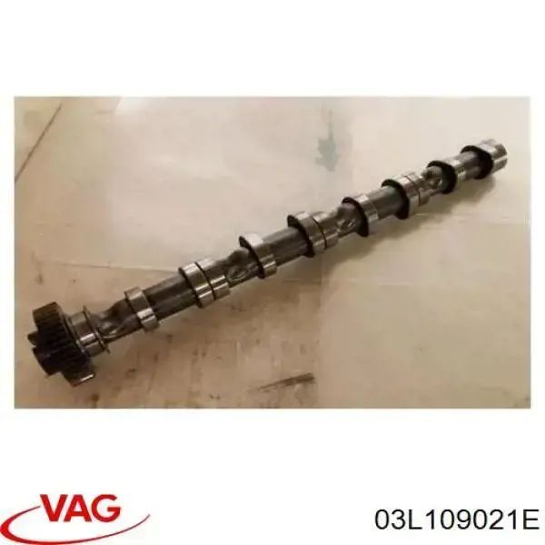 Распредвал двигателя впускной VAG 03L109021E цена, от 152.54 USD