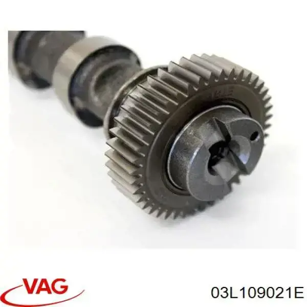 Купить 03L109021E VAG Впускной распредвал