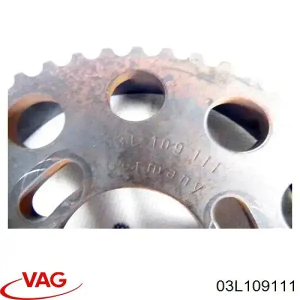 Engrenagem de cadeia da roda dentada da árvore distribuidora de motor Volkswagen Transporter T5 7HB, 7HJ, 7EB, 7EJ