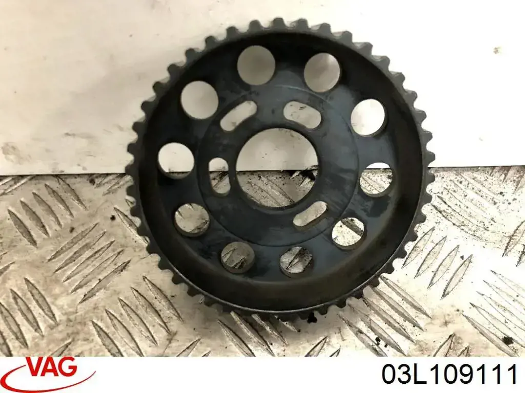 Compre Engrenagem de cadeia da roda dentada da árvore distribuidora de motor Volkswagen Transporter 