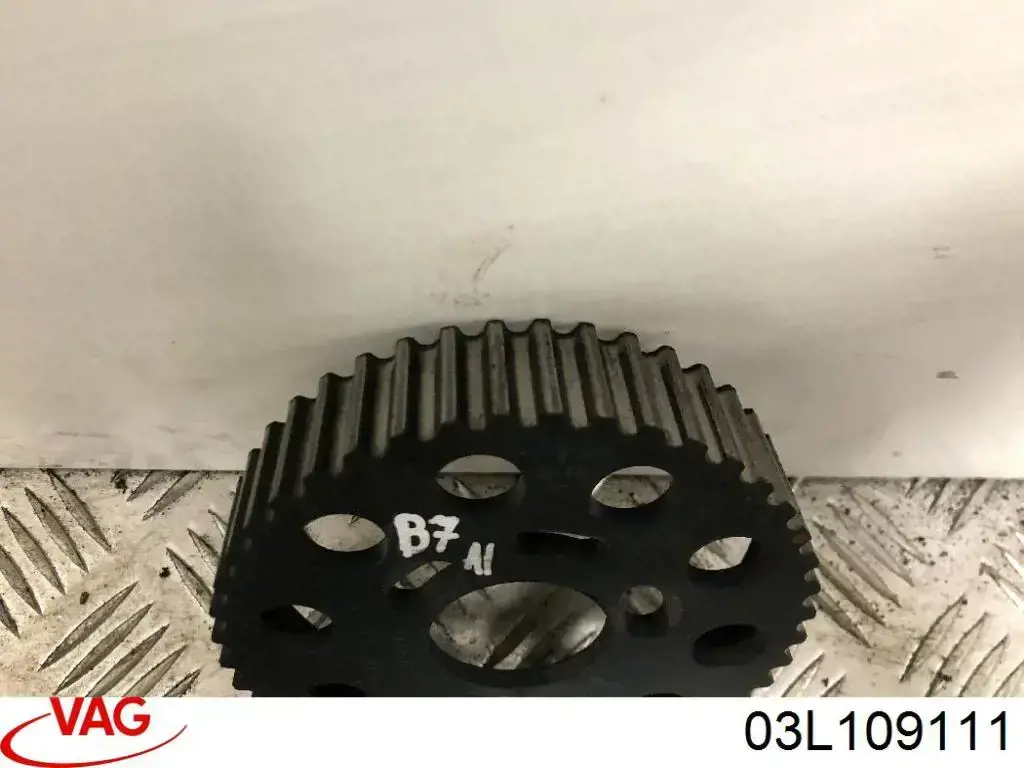 Engrenagem de cadeia da roda dentada da árvore distribuidora de motor Volkswagen Transporter preço, a partir de 64,91 USD