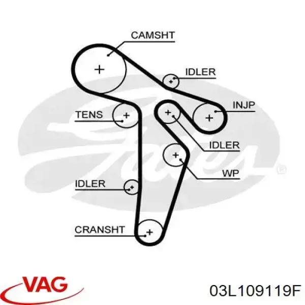 Зубчатый ремень VAG 03L109119F цена, от 50.03 USD