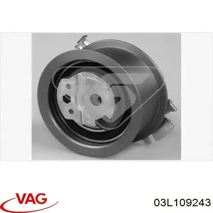  VAG 03L109243