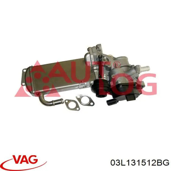 Купить 03L131512BG VAG Радиатор системы EGR
