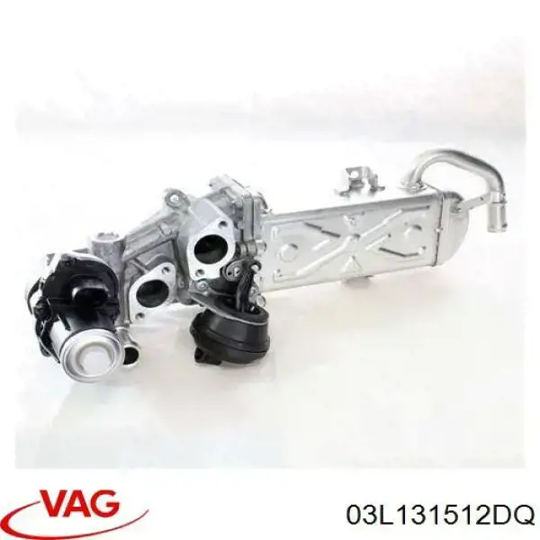 Купить 03L131512DQ VAG Радиатор системы EGR
