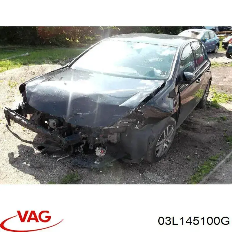 03L145100G VAG Механический вакуумный насос