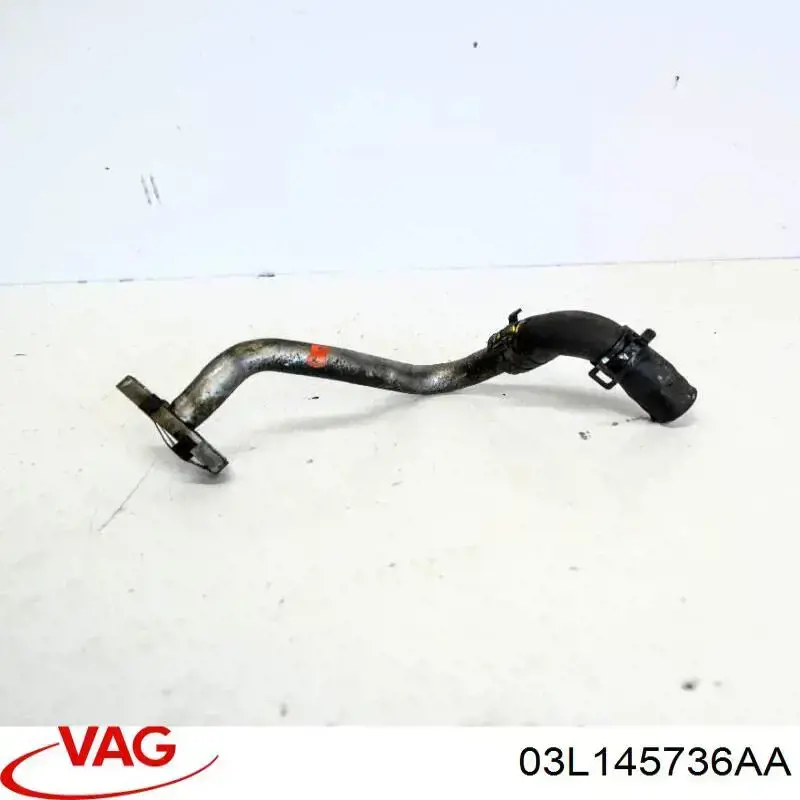 03L145736AA VAG 