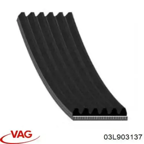 03L903137 VAG Поликлиновый ремень