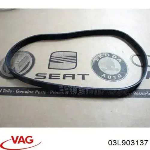 Клиновый ремень VAG 03L903137 цена, от 10.11 USD