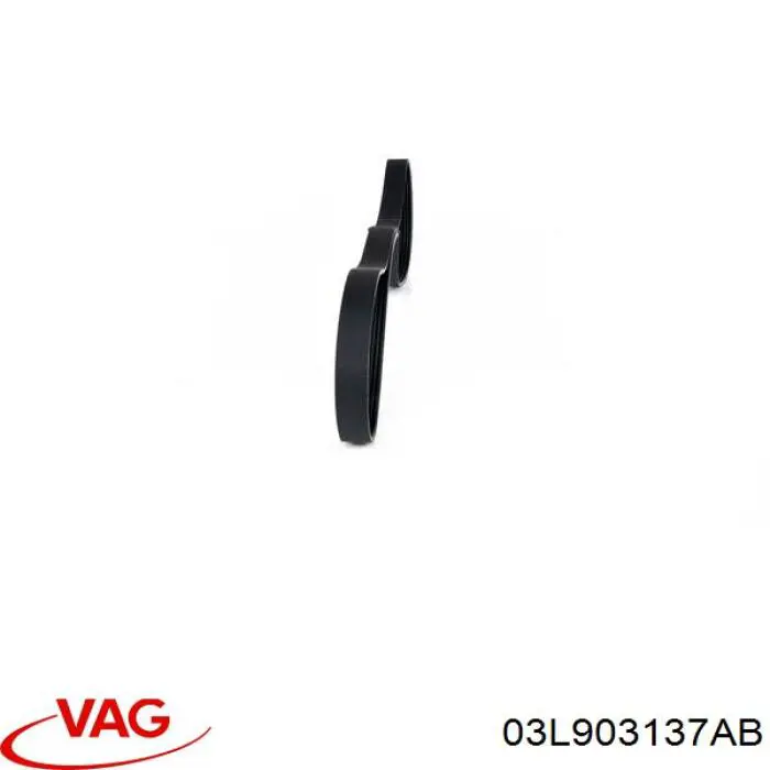 Купить 03L903137AB VAG Ремень генератора
