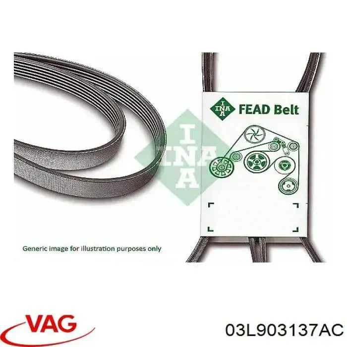 Купить 03L903137AC VAG Ремень генератора