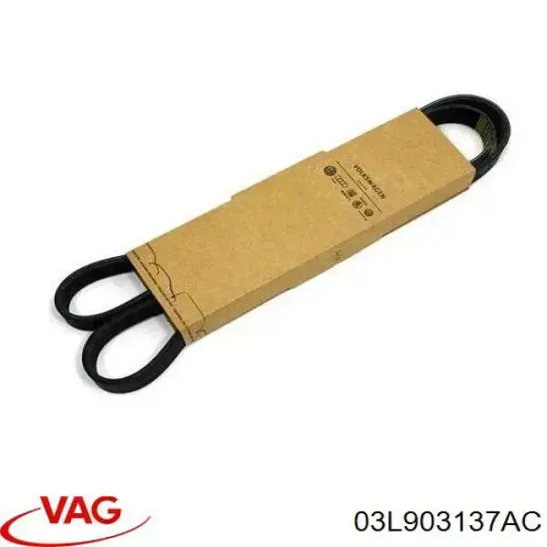 Клиновый ремень VAG 03L903137AC цена, от 12.24 USD