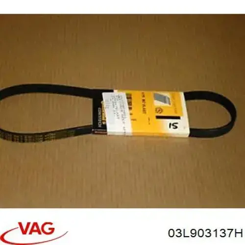 03L903137H VAG Поликлиновый ремень