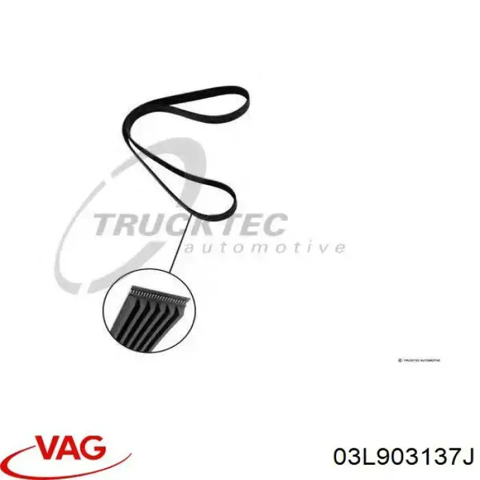 Ремень кондиционера VAG 03L903137J
