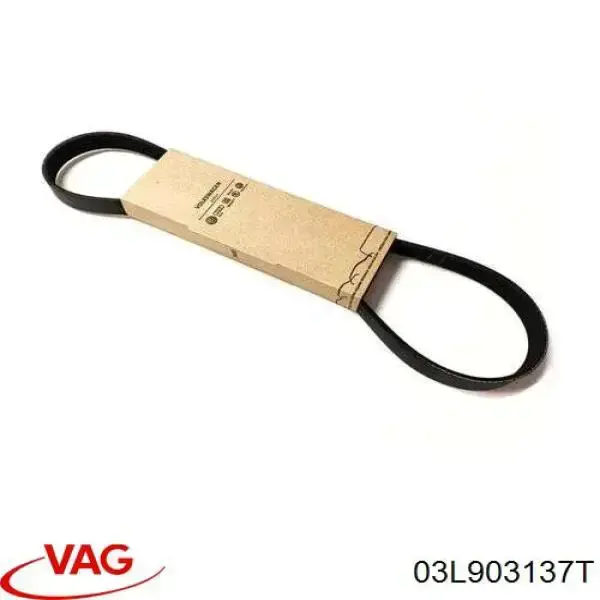 Купить 03L903137T VAG Ремень генератора