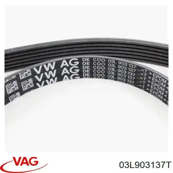 03L903137T VAG Поликлиновый ремень