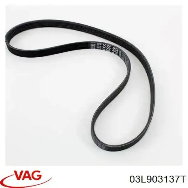 Клиновый ремень VAG 03L903137T цена, от 26.70 USD