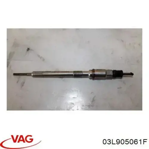 03L905061F VAG