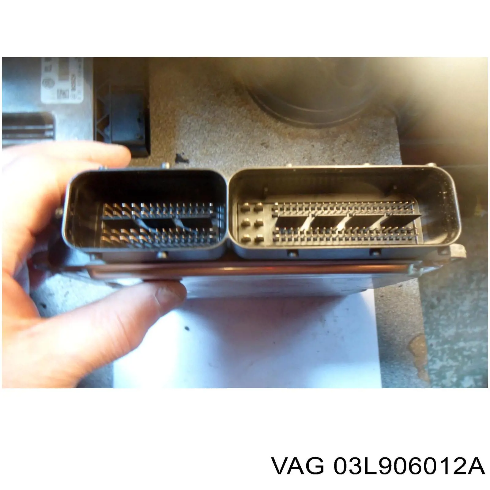 Купить 03L906012A VAG Электронный блок управления двигателем