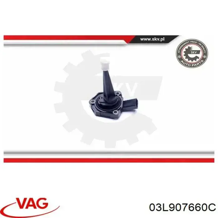 03L907660C VAG