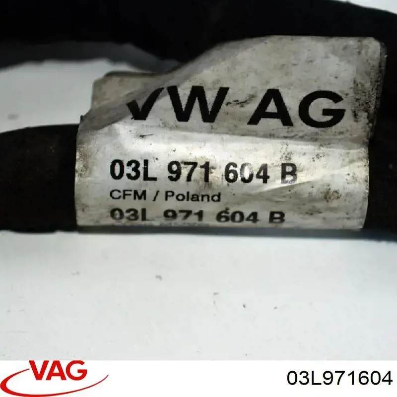  03L971604 VAG