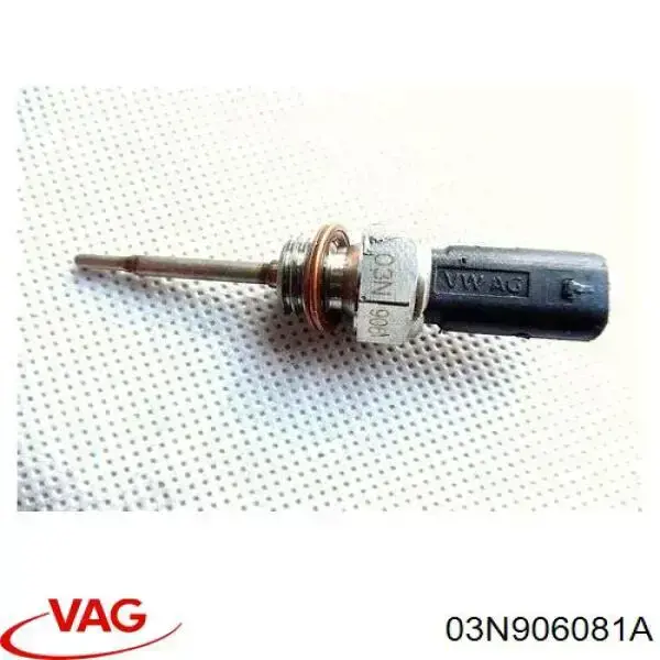 03N906081A VAG