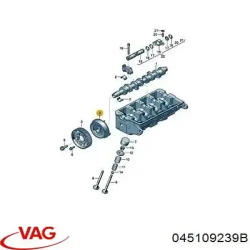 045109239B VAG 