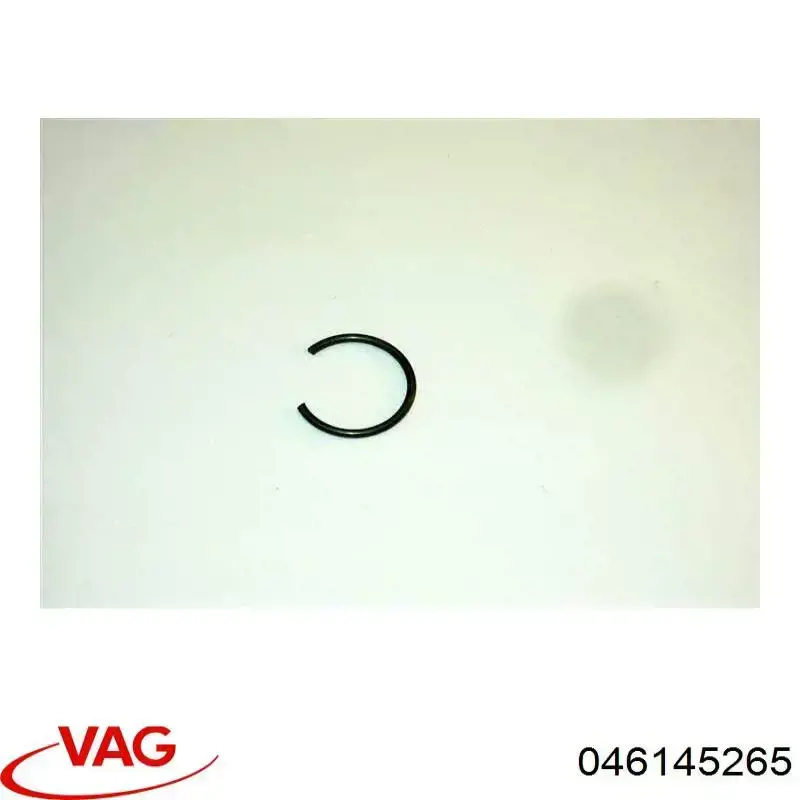  046145265 VAG