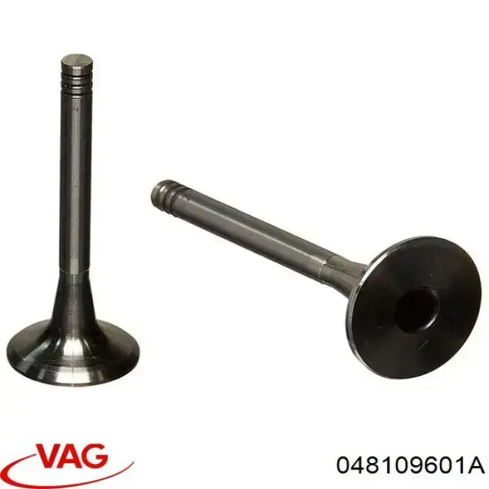048109601A VAG Впускной клапан