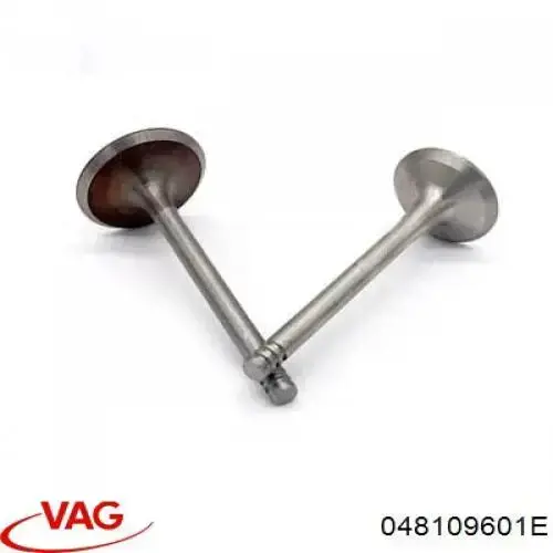 Купить 048109601E VAG Впускной клапан