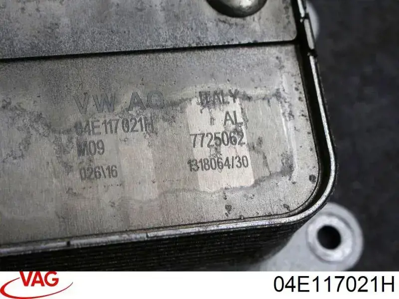 04E117021H VAG 