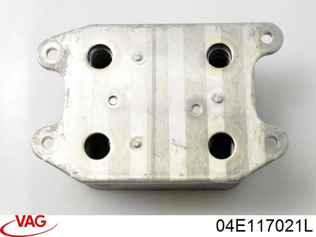  04E117021L VAG