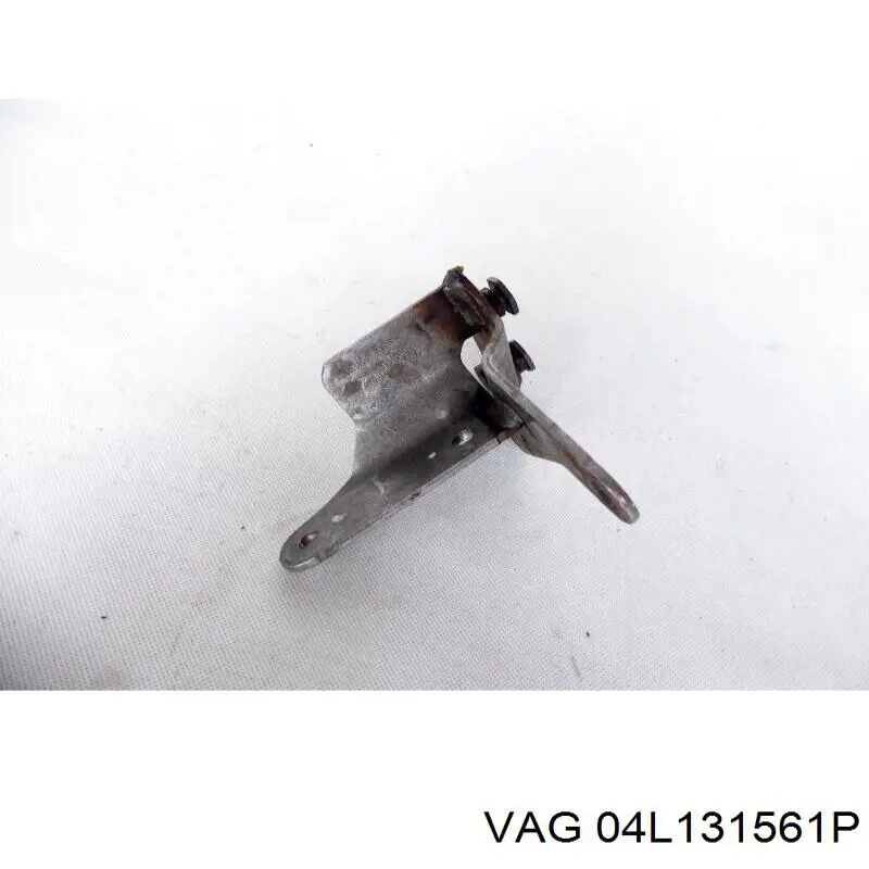  04L131561P VAG