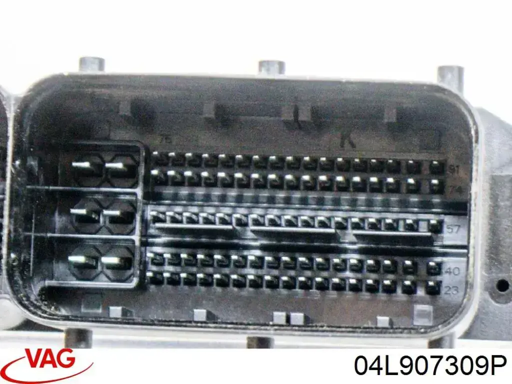 04L907309P VAG Мозги двигателя