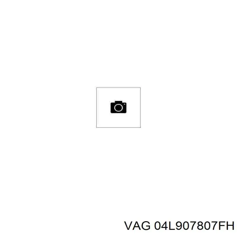Купить 04L907807CG VAG 