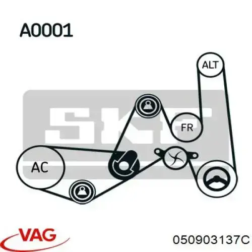 050903137C VAG Поликлиновый ремень
