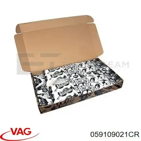 Распредвал двигателя впускной правый VAG 059109021CR цена, от 138.25 USD