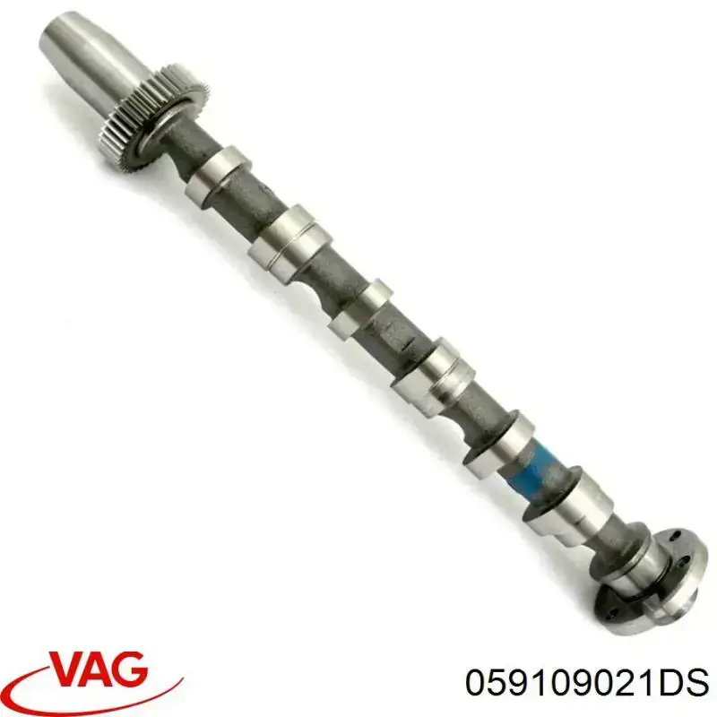 Распредвал двигателя впускной левый VAG 059109021DS цена, от 205.74 USD