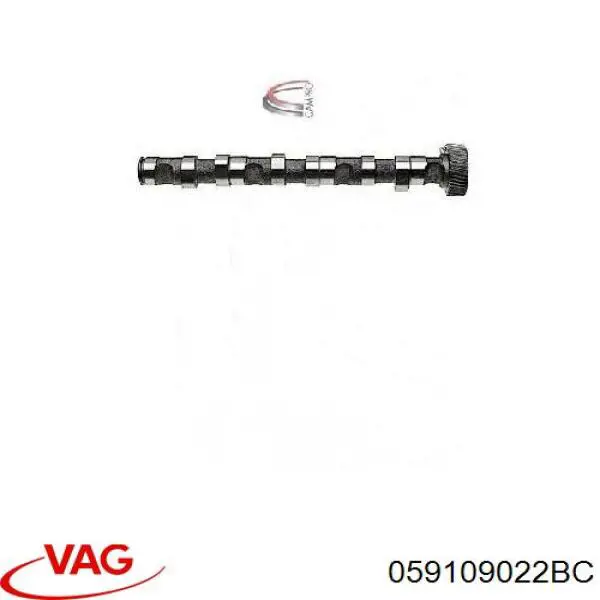 Распредвал двигателя выпускной правый VAG 059109022BC цена, от 91.48 USD