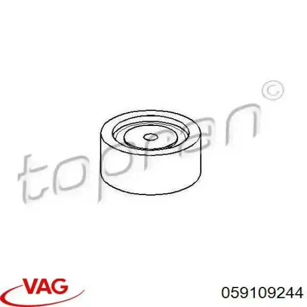Купить 059109244 VAG Ведуший ролик ГРМ
