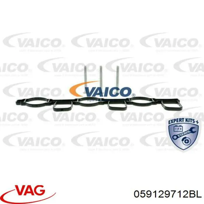 Купить 059129712BL VAG Коллектор впускной правый