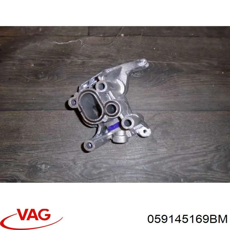  059145169BM VAG