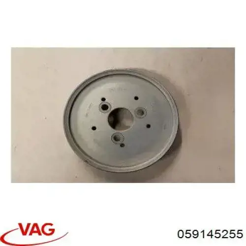 Купить 59145255 VAG Шкив насоса ГУР
