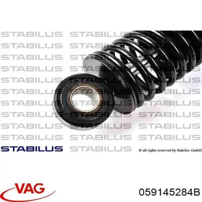 Демпфер натяжителя приводного ремня VAG 059145284B цена, от 25.34 USD